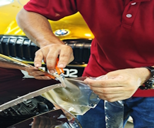 Car Paint Protection
